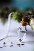 Irish Botanical Gardens Dandelion Seed Pendent & Necklace - FPS