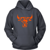 LIMITED EDITION True Chicago Fan